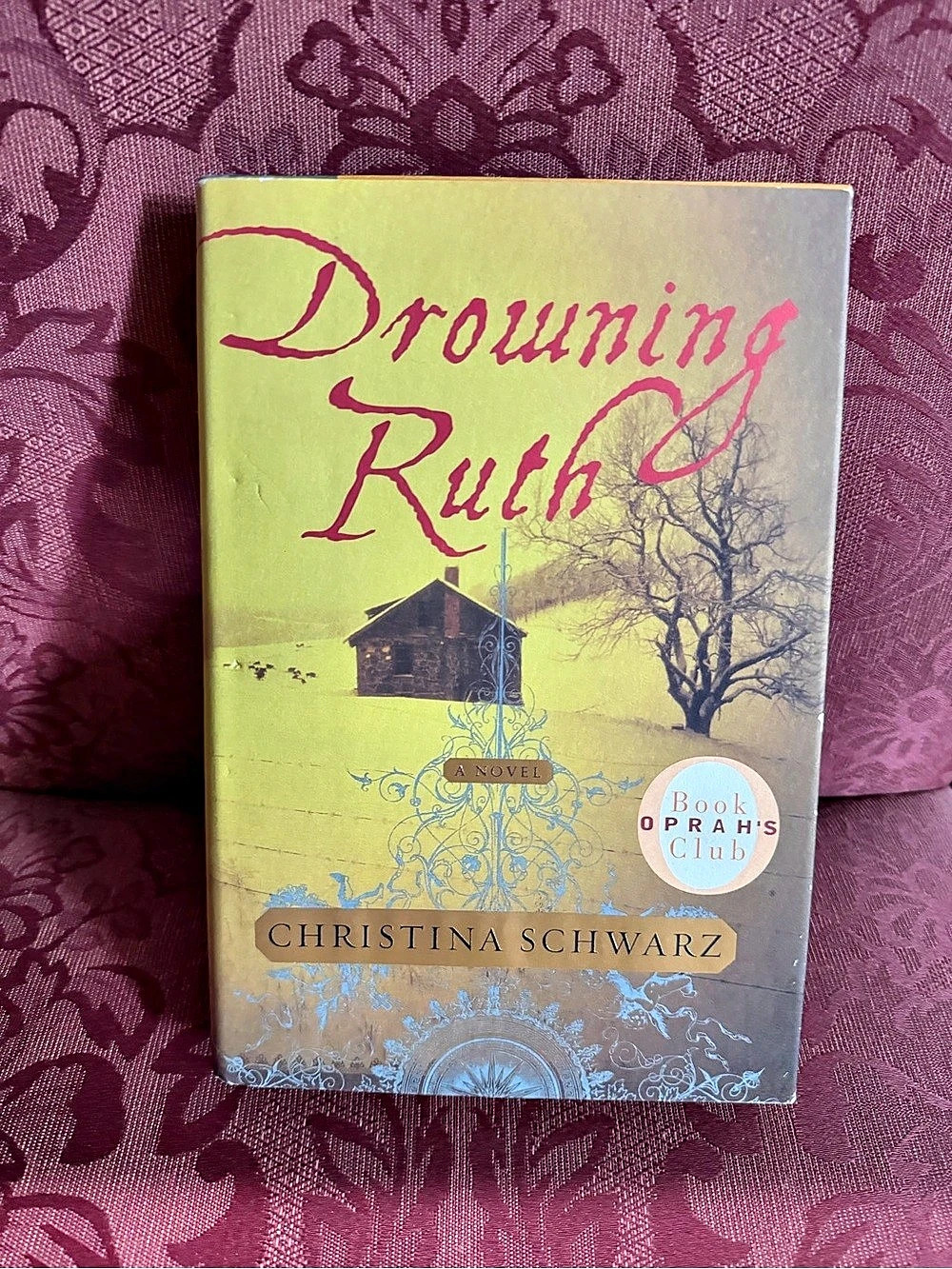 Drowning Ruth by Christina Schwarz Novel Book NEW hardback #244